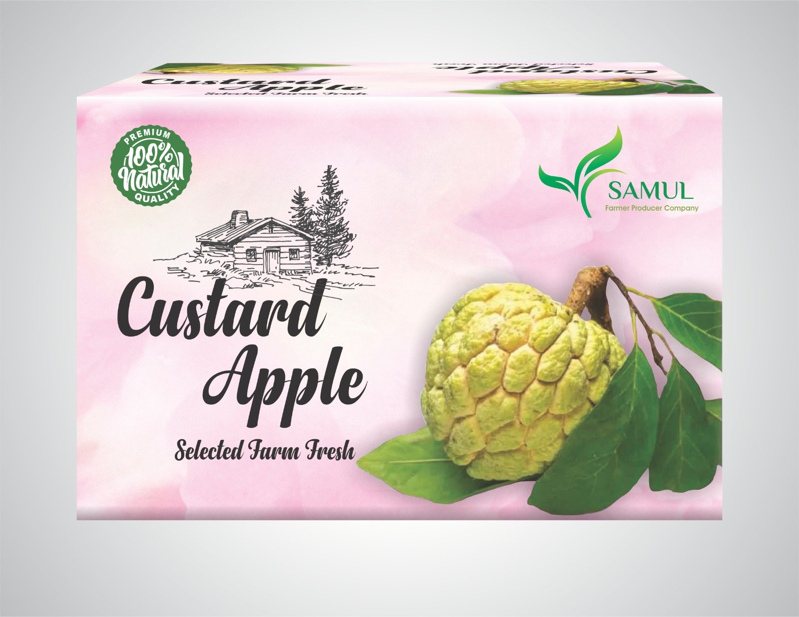 Custard Apple Packaging Box
